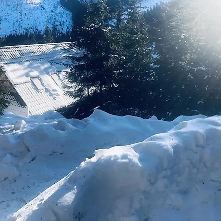 Villa Drevenica Certovica *