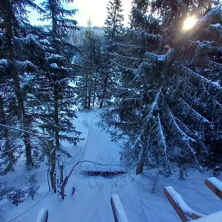 Drevenica Certovica * Vysna Boca