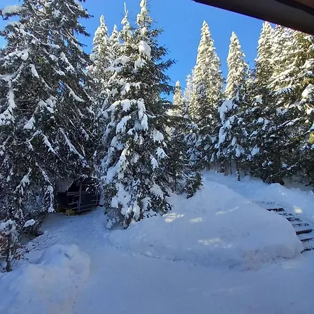 Drevenica Certovica Villa