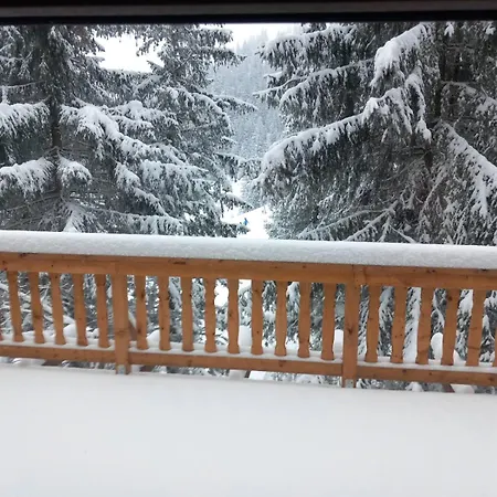 Drevenica Certovica * Vysna Boca