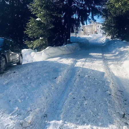 Drevenica Certovica Villa Vysna Boca