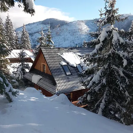 Villa Drevenica Certovica