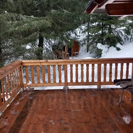 Villa Drevenica Certovica *