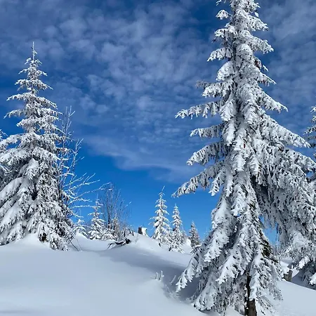 Villa Drevenica Certovica