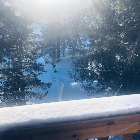 Drevenica Certovica Villa Vysna Boca