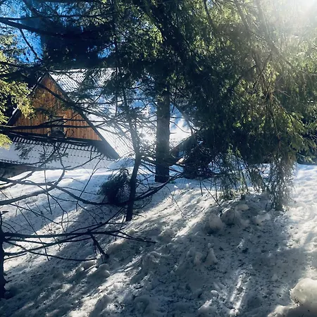 Villa Drevenica Certovica *