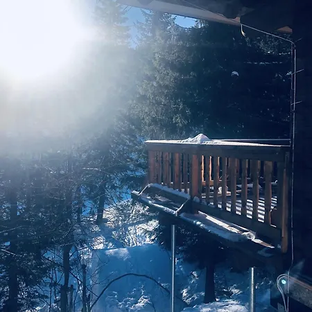 Villa Drevenica Certovica