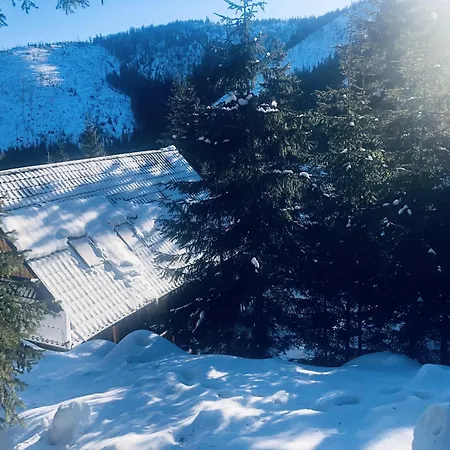 Villa Drevenica Certovica *