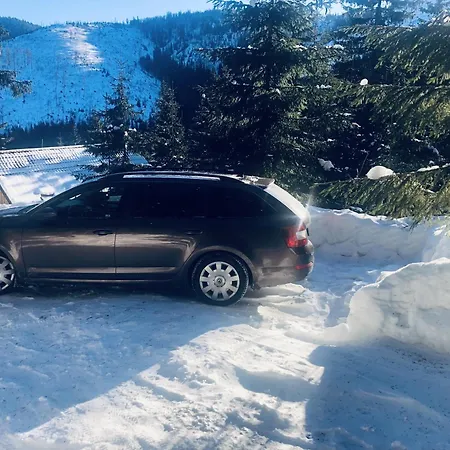 Villa Drevenica Certovica