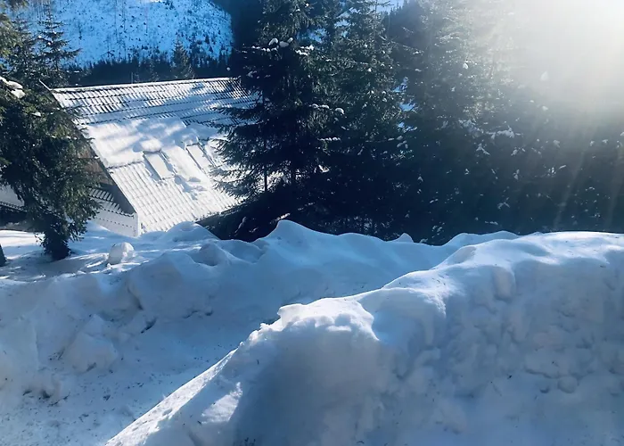 Villa Drevenica Certovica *