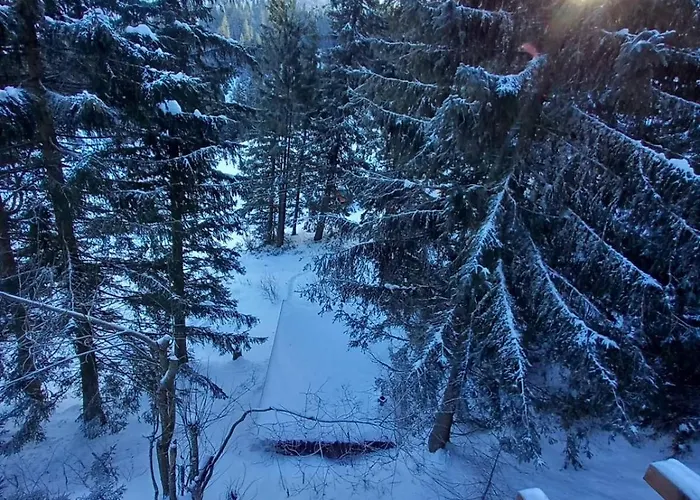 Drevenica Certovica * Vyšná Boca