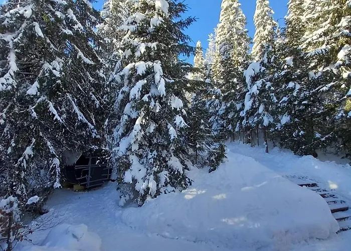 Drevenica Certovica Villa