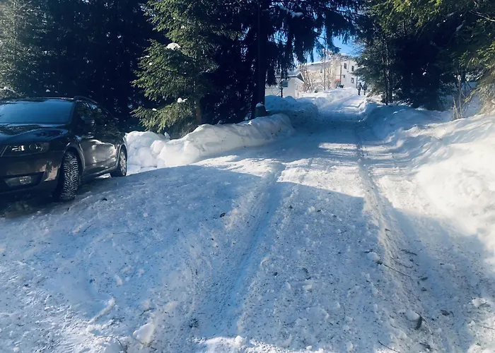 Drevenica Certovica Villa Vyšná Boca