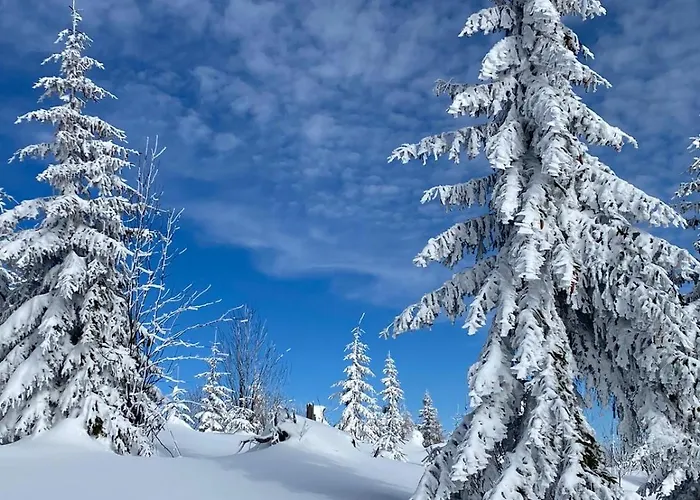 Villa Drevenica Certovica