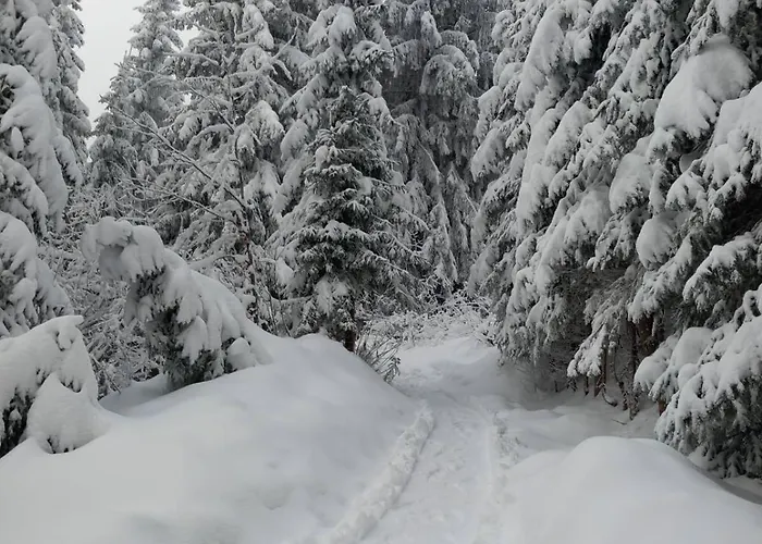 Willa Drevenica Certovica *