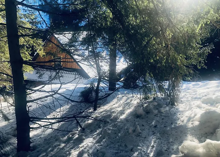 Villa Drevenica Certovica *