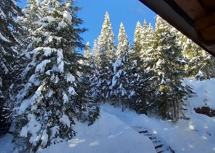 Drevenica Certovica *