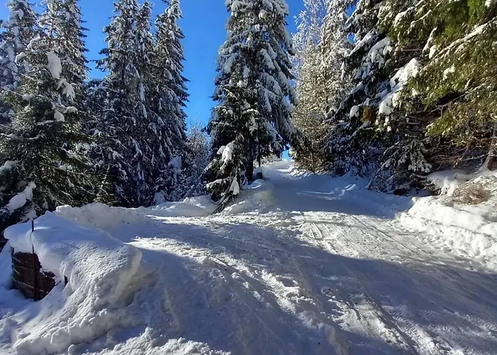 Villa Drevenica Certovica *